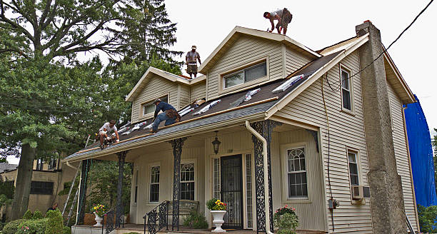 Best Metal Roofing Contractor  in Divernon, IL
