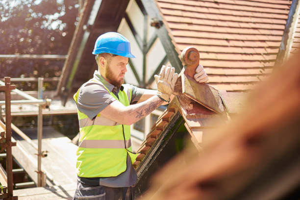 Best New Roof Installation  in Divernon, IL